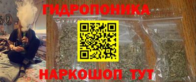 Альфа ПВП Кингисепп