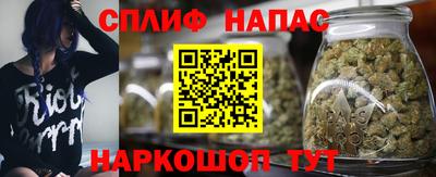 mdpv Кандалакша