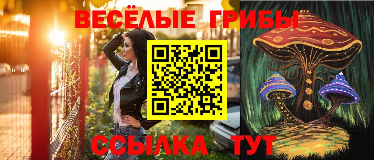 Кудымкар  Галлюциногенные грибы прущие грибы  Галлюциногенные грибы ЛСД  Вход с VPN 