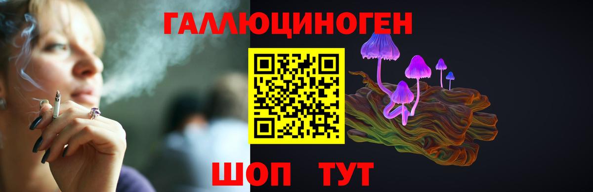 Галлюциногенные грибы GOLDEN TEACHER Кудымкар